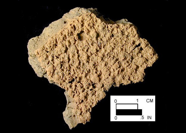 Mockley net-impressed body sherd from Dorr Site 18AN19/133.